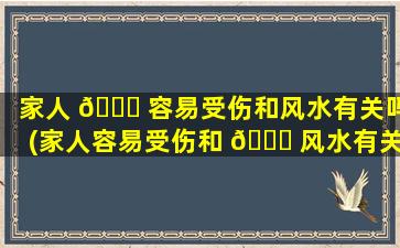 家人 🐈 容易受伤和风水有关吗(家人容易受伤和 🐝 风水有关吗为什么)